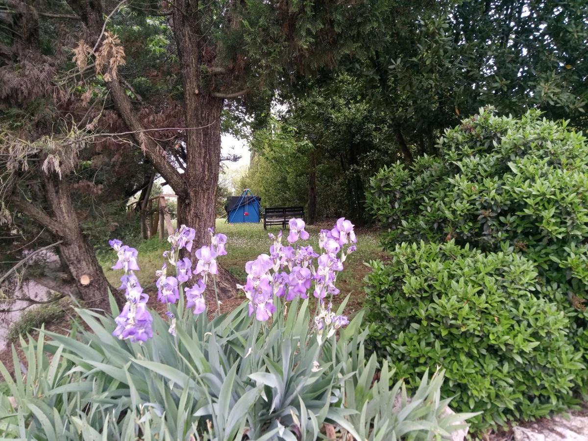 Agriturismo La Fornace Di Rossi Stefano Belvedere  Eksteriør bilde